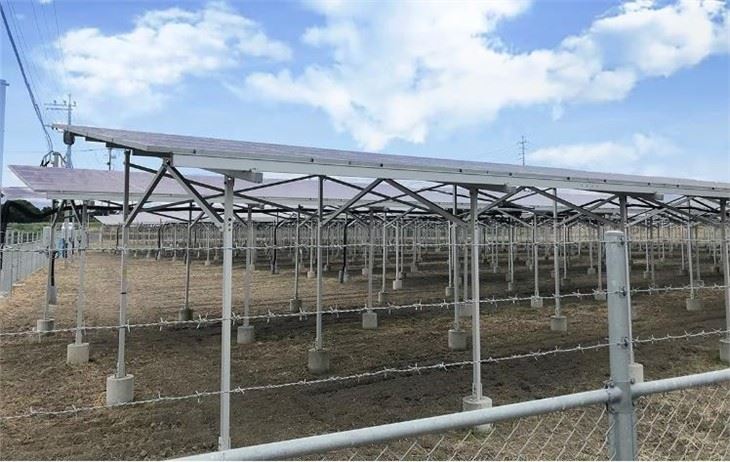 Solar Agriculture Mounting Structure