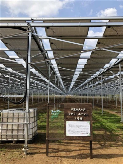 Päikeseenergia agrivoltacsi kinnitussüsteem
